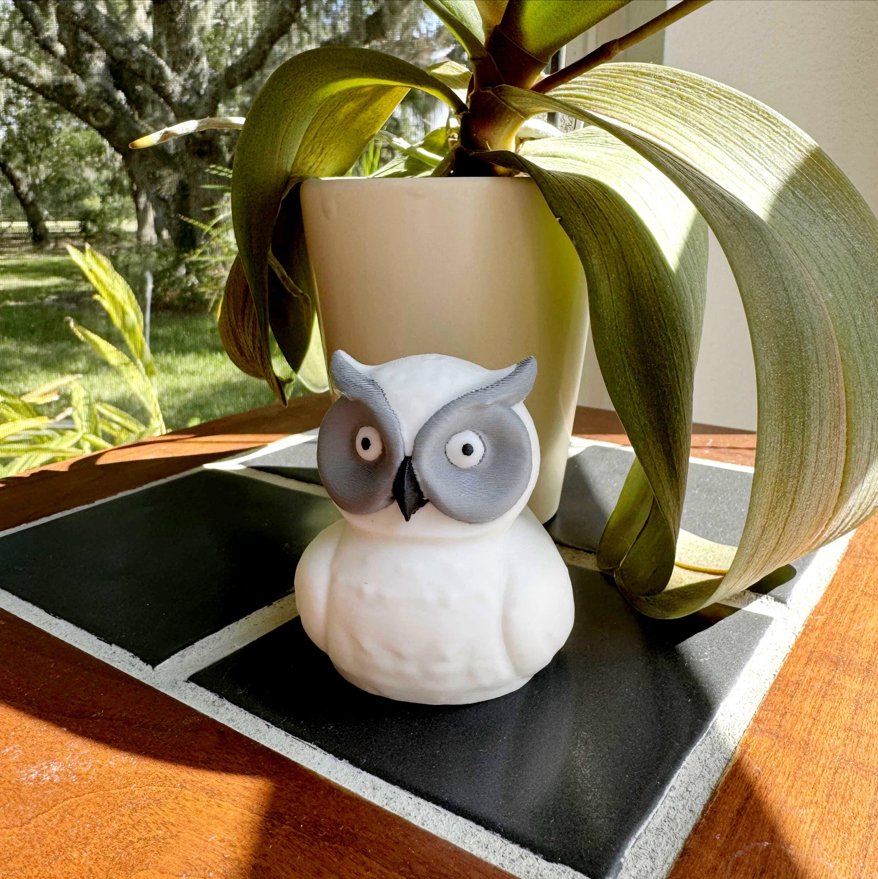 White Owl Cruise Duck Cute Owl Hide and Seek Duck for Ship Adventures Gift for Owl Lovers & Nature Fans Party Favor and Cruise Keepsake Duck