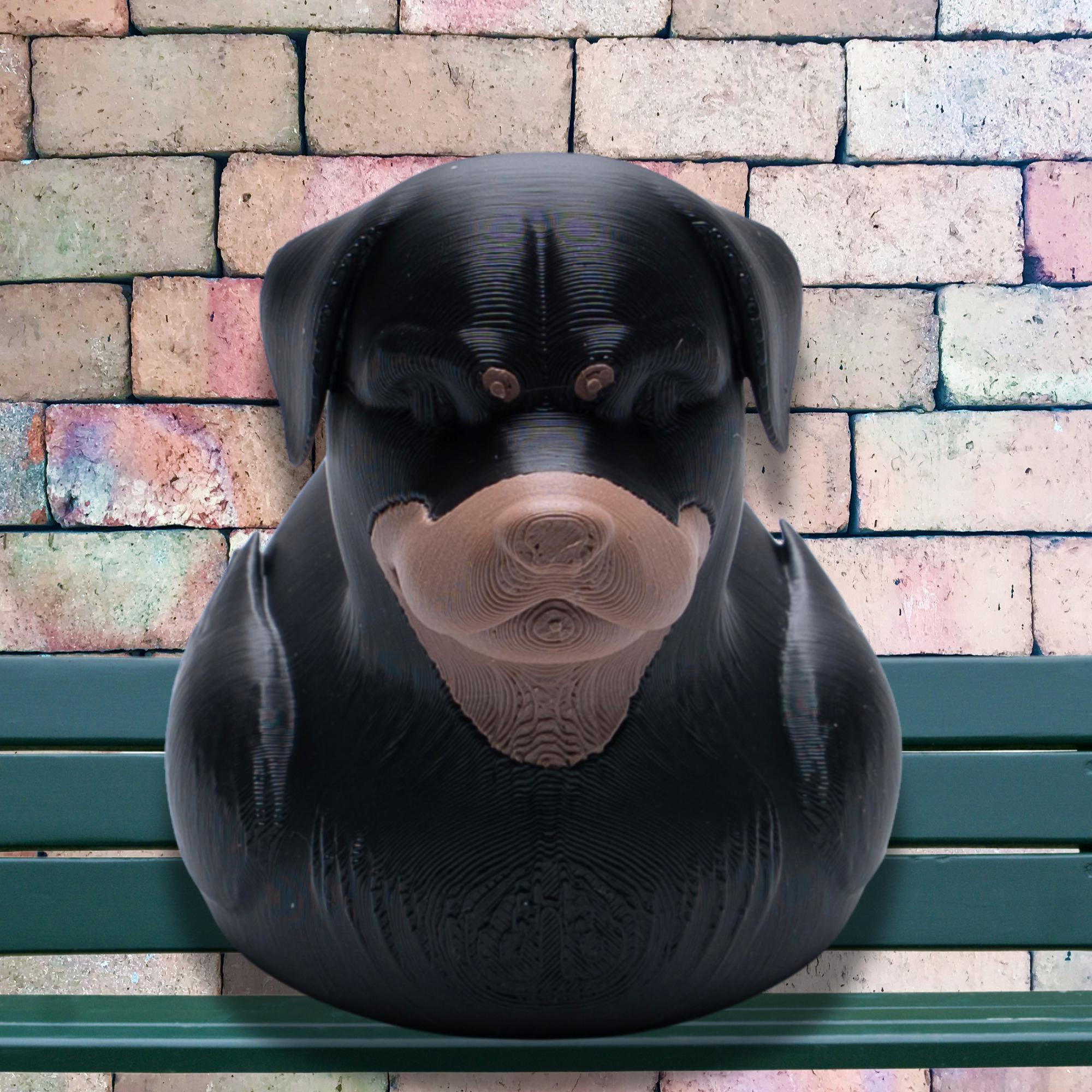 Rottweiler Cruise Duck Gift Dog Lover Hide and Seek Duck Gift for Him Puppy Party Favor Dog Birthday Cake Topper | Nautical Souvenir Duck