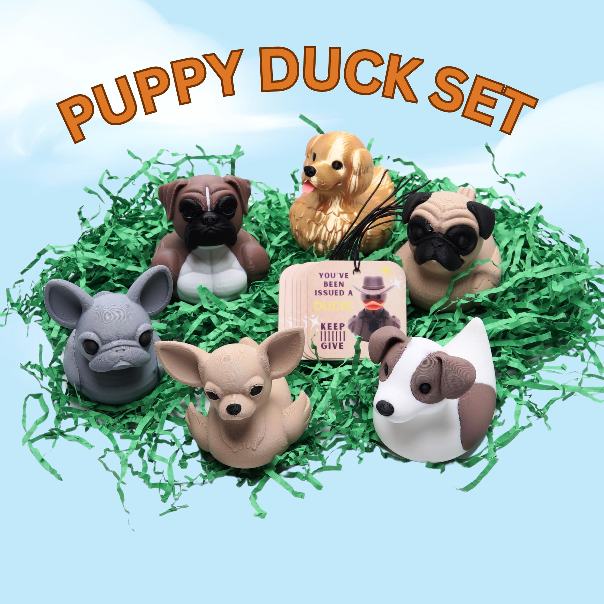 Duck Duck Kit Complete Ducking Set 6-Pack Safari Theme Ducks with Ties and Tags in Bag for Road Trip and Cruise Ducking Fun Hide and Seek