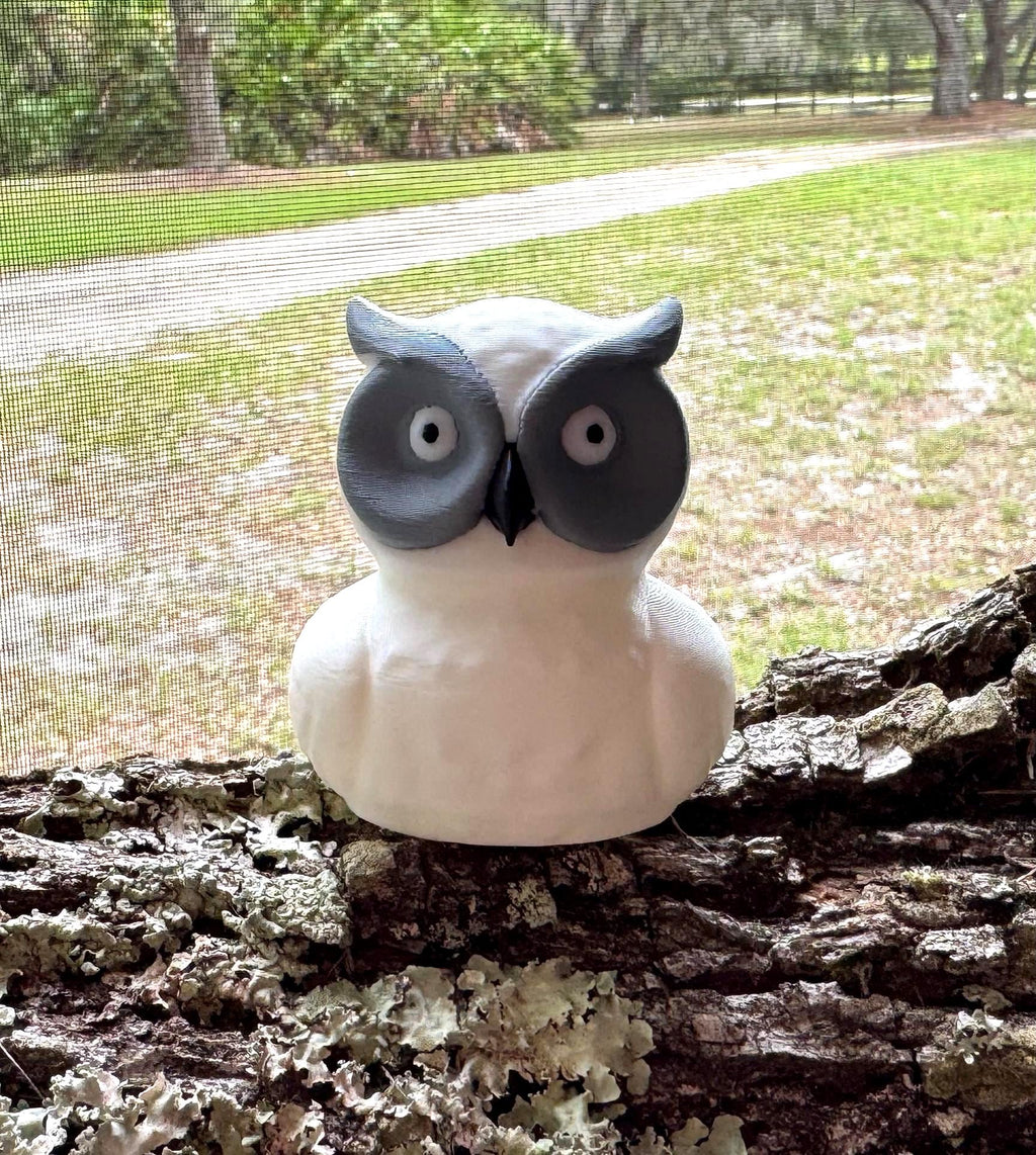 White Owl Cruise Duck Cute Owl Hide and Seek Duck for Ship Adventures Gift for Owl Lovers & Nature Fans Party Favor and Cruise Keepsake Duck
