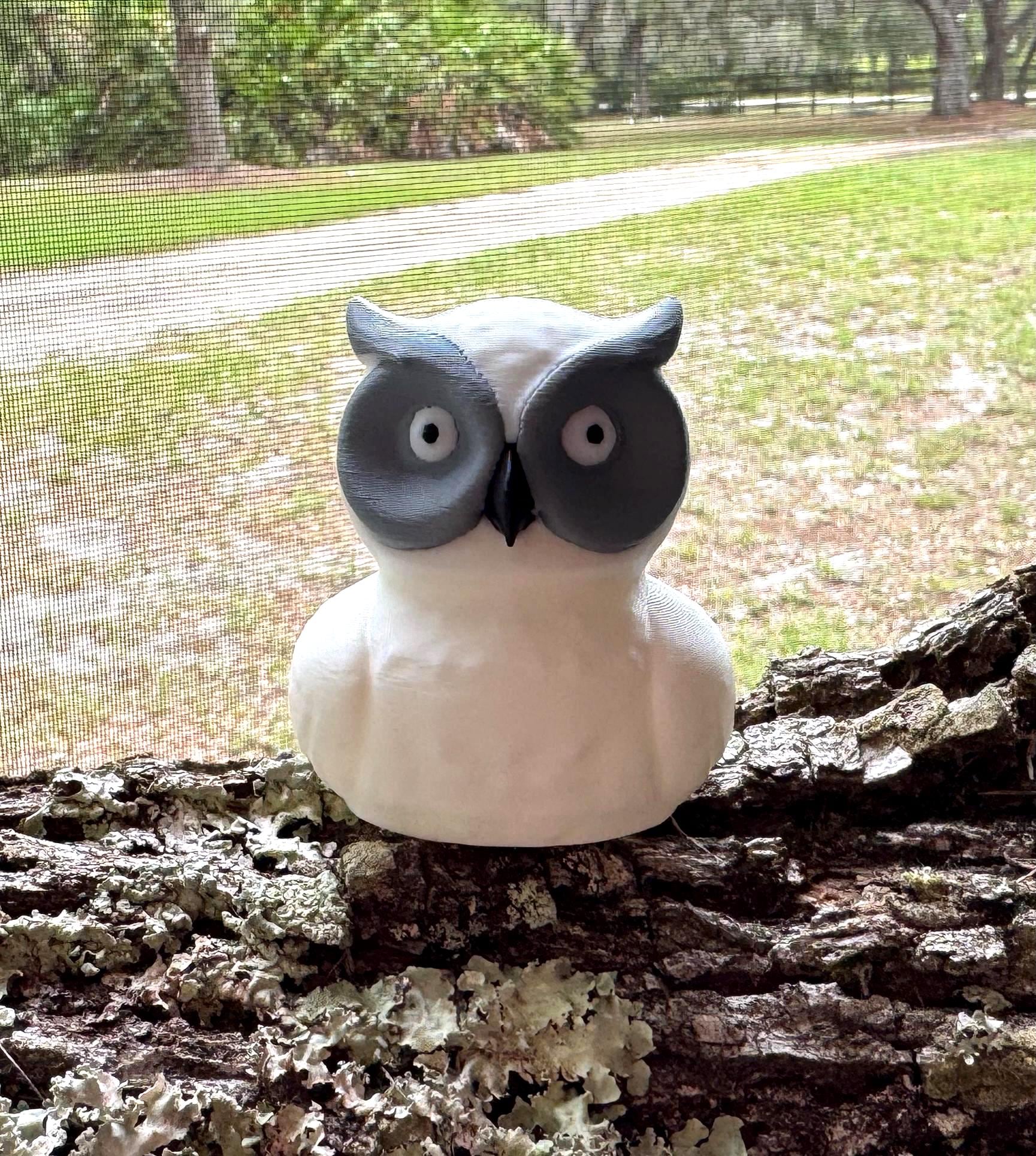 White Owl Cruise Duck Cute Owl Hide and Seek Duck for Ship Adventures Gift for Owl Lovers & Nature Fans Party Favor and Cruise Keepsake Duck