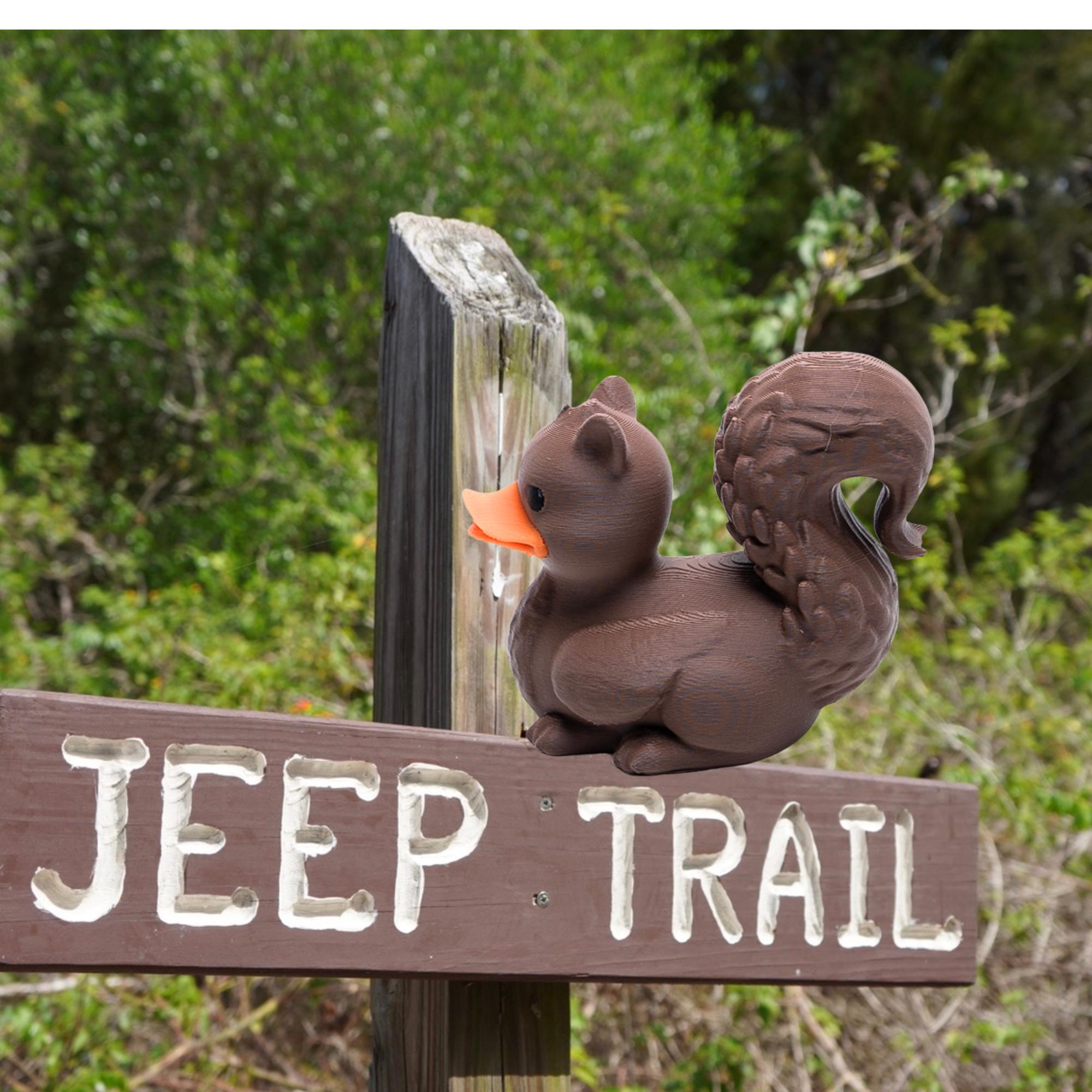 Squirrel Duck Gift for Off-Road Ducking Fans Woodland Trail Dashboard Duck Nature Party Favor Birthday Cake Topper for Kids Ducking Keepsake