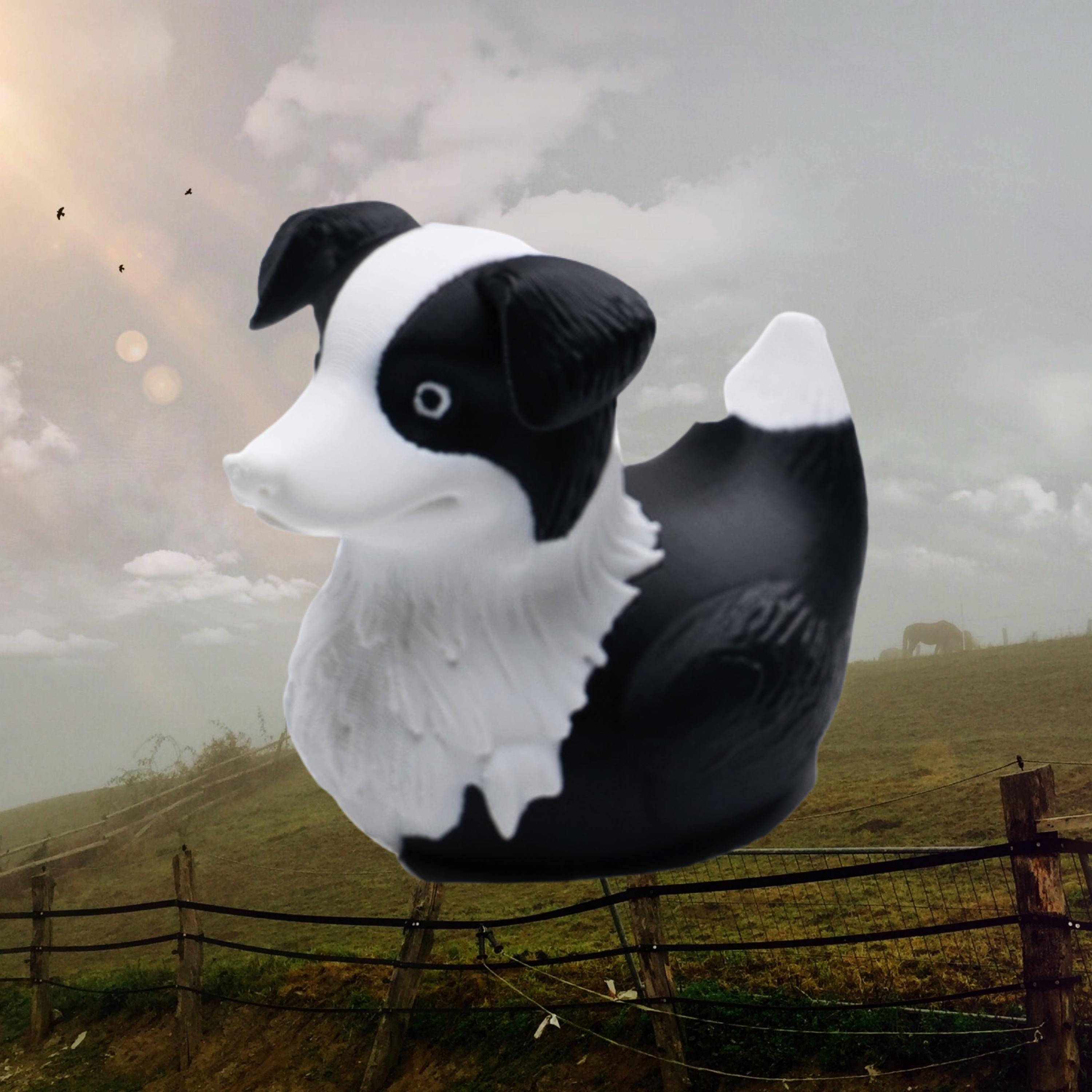Border Collie Cruise Duck Gift Dog Lover Hide and Seek Duck Farm Animal Souvenir Cowboy Party Favor Dog Birthday Cake Topper Gift for Her