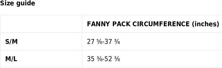 Blue Sunset Fanny Pack
