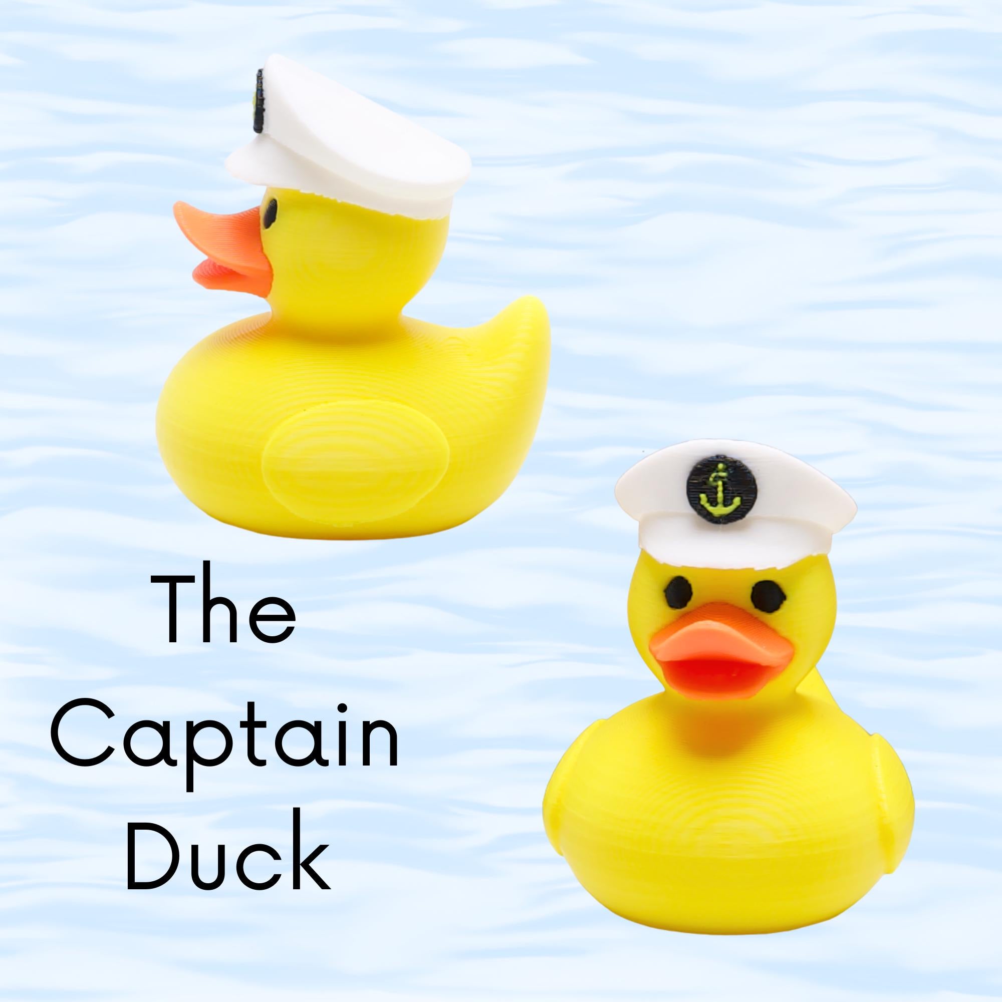 Alaskan Cruise Duck Gift Set 6 Ducks Tags & Ties in Clear Case for Hide and Seek Cruise Ducking Fun Kit Orca Wolf Fox Bear Owl Captain Ducks