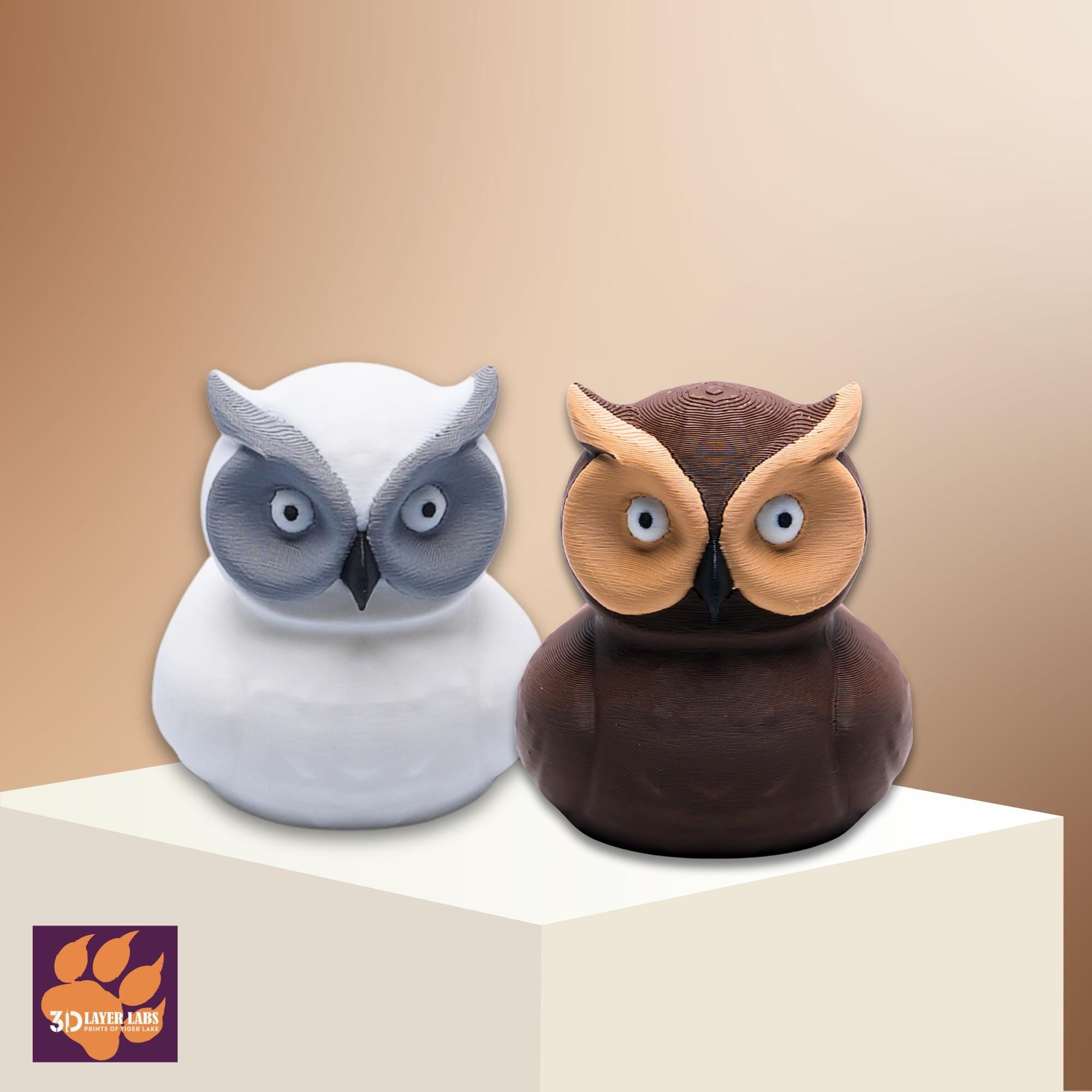 White Owl Duck Gift for 4x4 Ducking Fans Owl Lover Dashboard Duck Nature Cake Topper Party Favor Bookshelf Decor Trail Keepsake Gift for Her