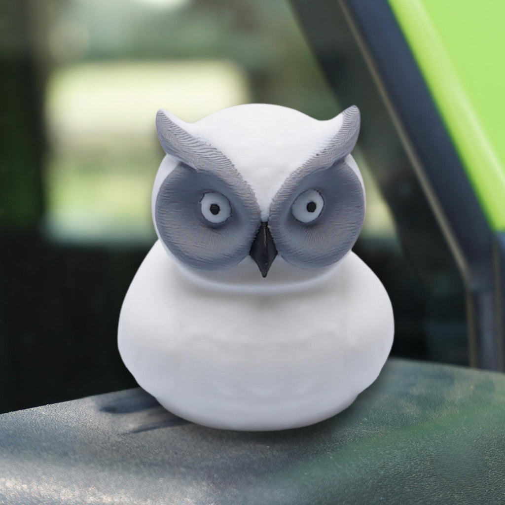 White Owl Duck Gift for 4x4 Ducking Fans Owl Lover Dashboard Duck Nature Cake Topper Party Favor Bookshelf Decor Trail Keepsake Gift for Her