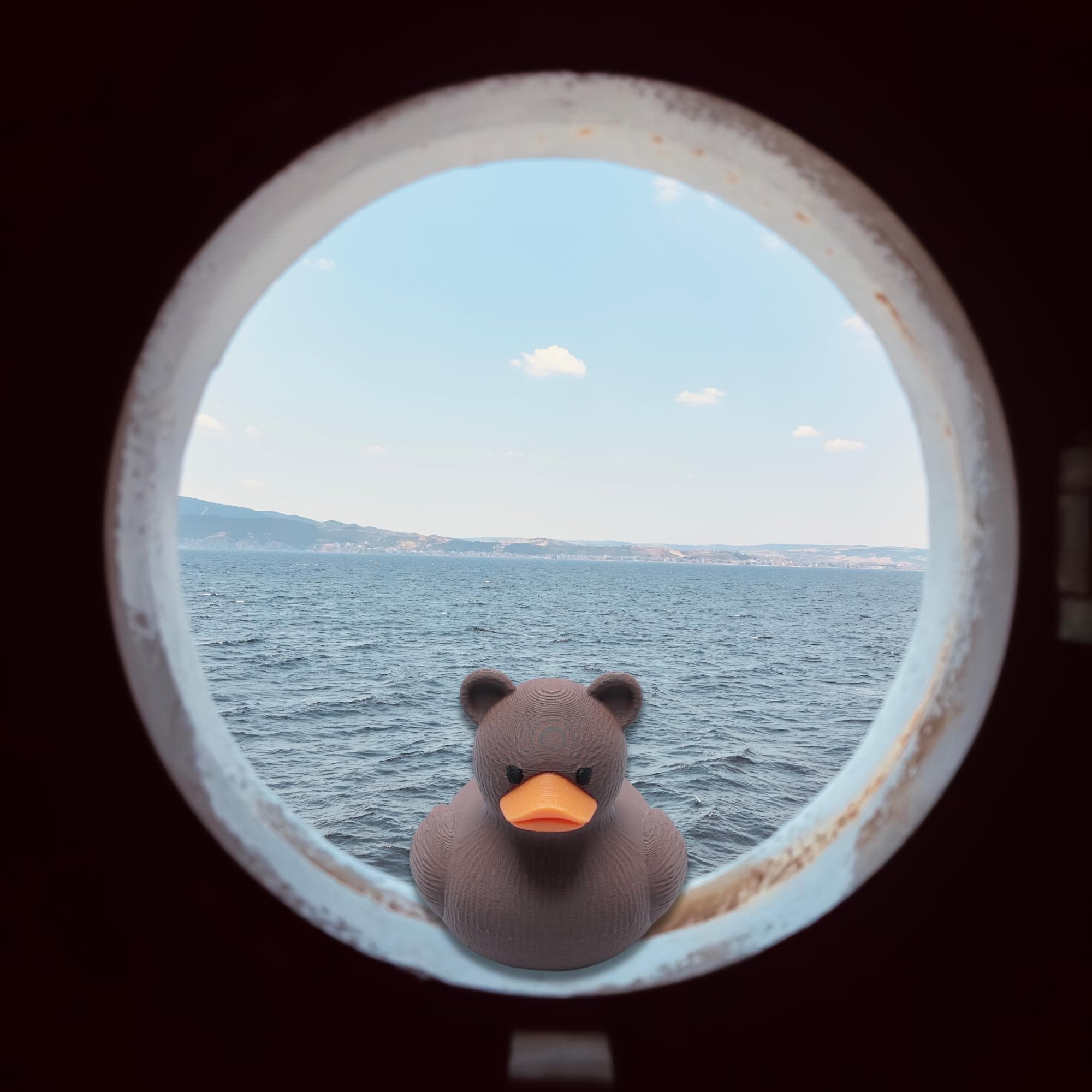 Bear Duck Cruise Gift Duck for Hide and Seek Ducking Fun Brown Bear Woodland Alaska Party Favor Cake Topper  Cruise Travel Keepsake Duck