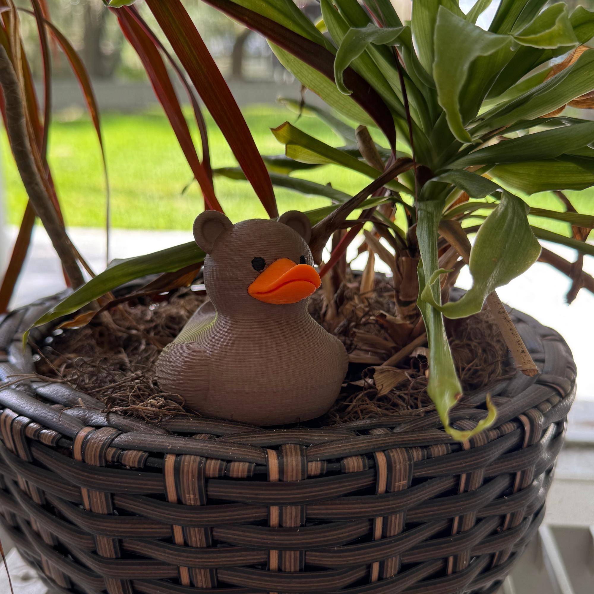 Bear Duck Cruise Gift Duck for Hide and Seek Ducking Fun Brown Bear Woodland Alaska Party Favor Cake Topper  Cruise Travel Keepsake Duck