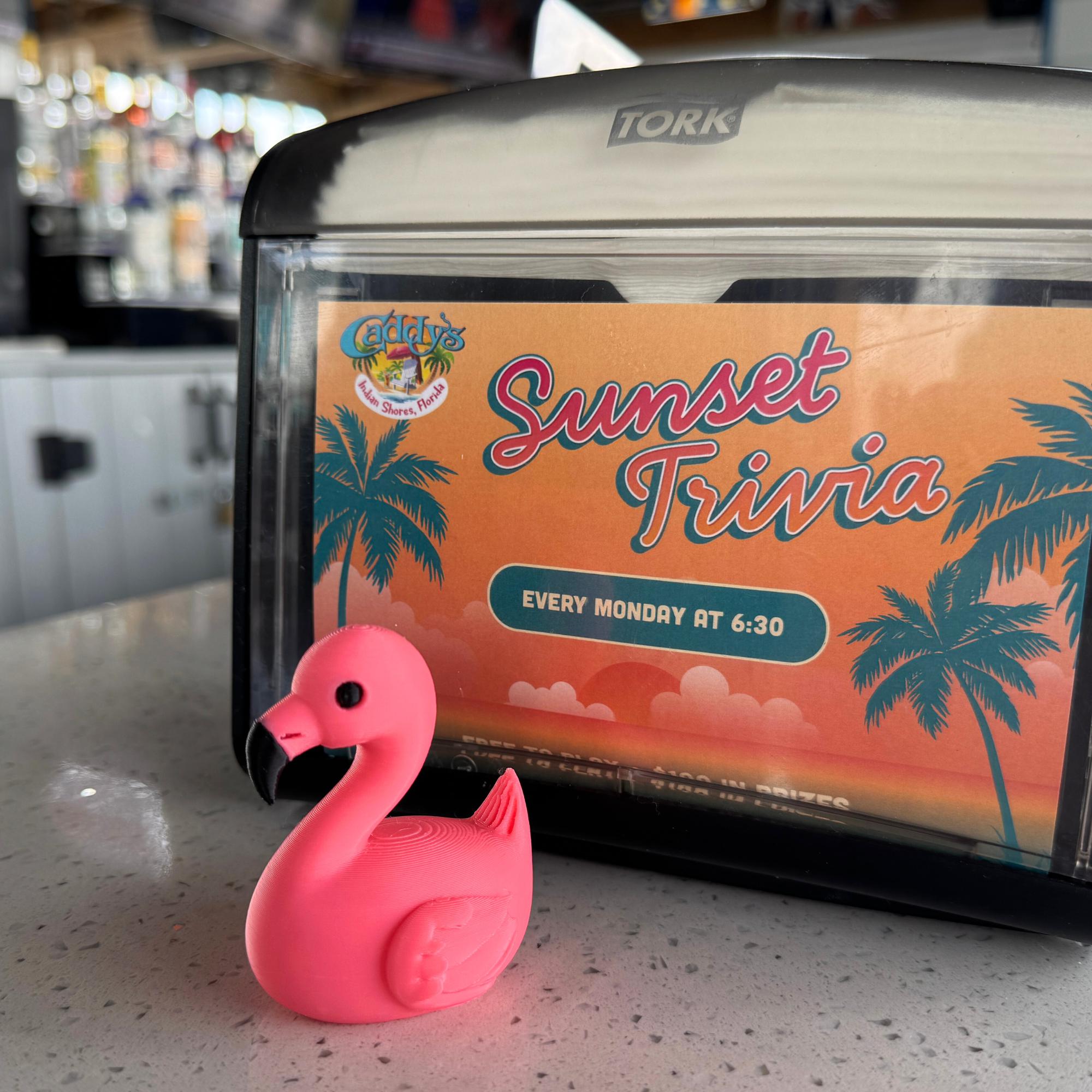 Pink Flamingo Cruise Duck Gift Tropical Hide and Seek Duck for Ship Adventures Summer Party Favor Family Cruise Keepsake Gift Souvenir Duck